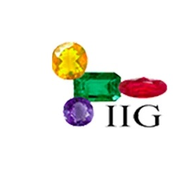 IIG Delhi